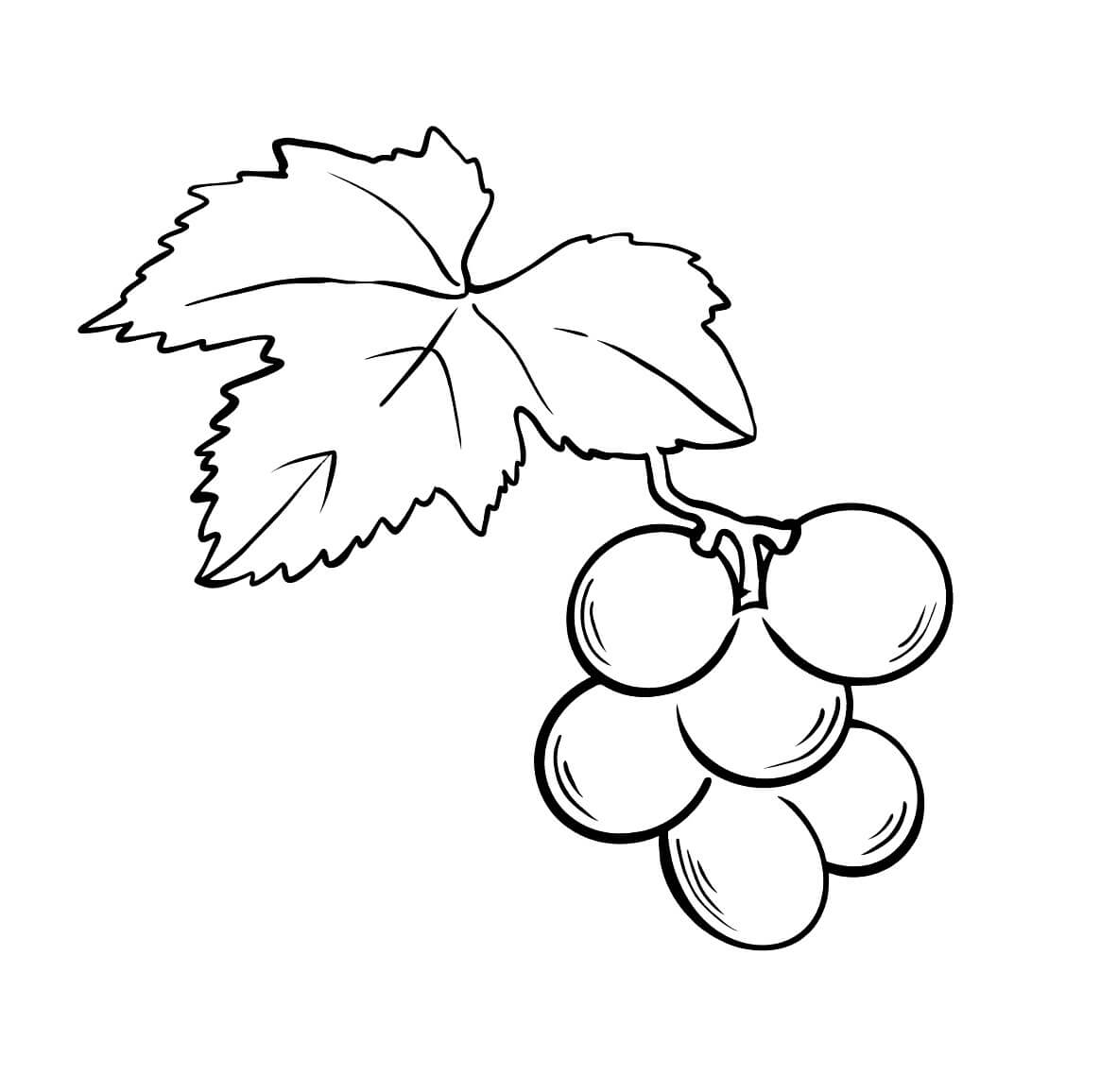 Desenhos de Uvas com Folha para colorir