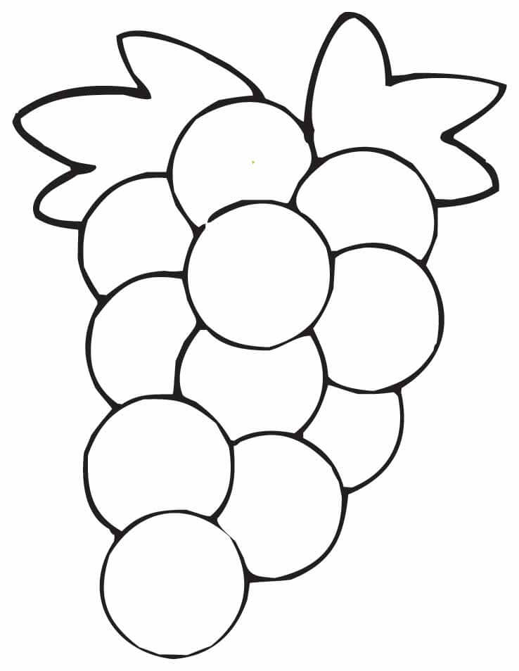 Desenhos de Uvas de Desenho Básico para colorir