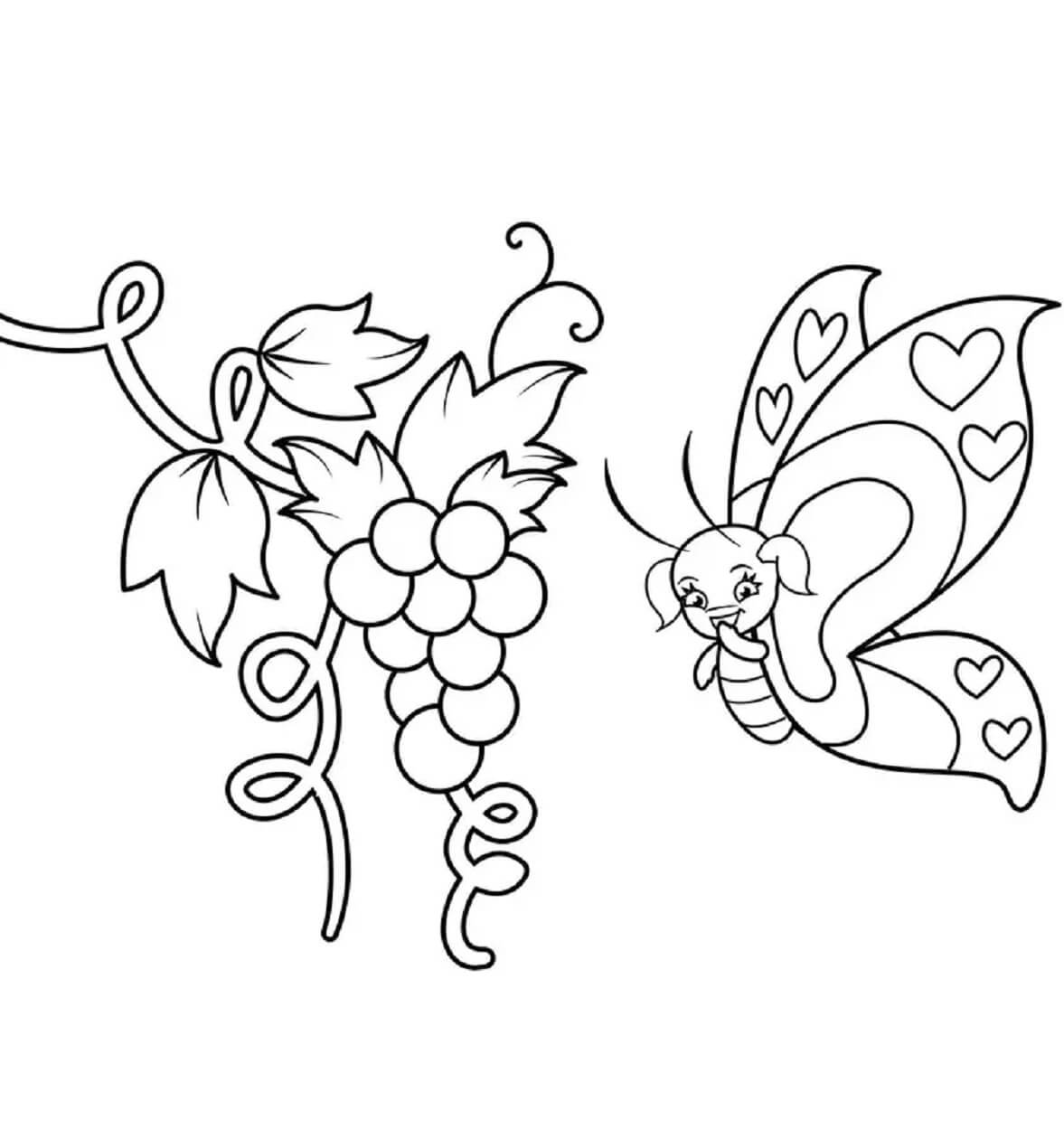 Desenhos de Uvas e Borboleta para colorir