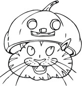 Desenhos de Gato Usando Chapéu de Abóbora para colorir