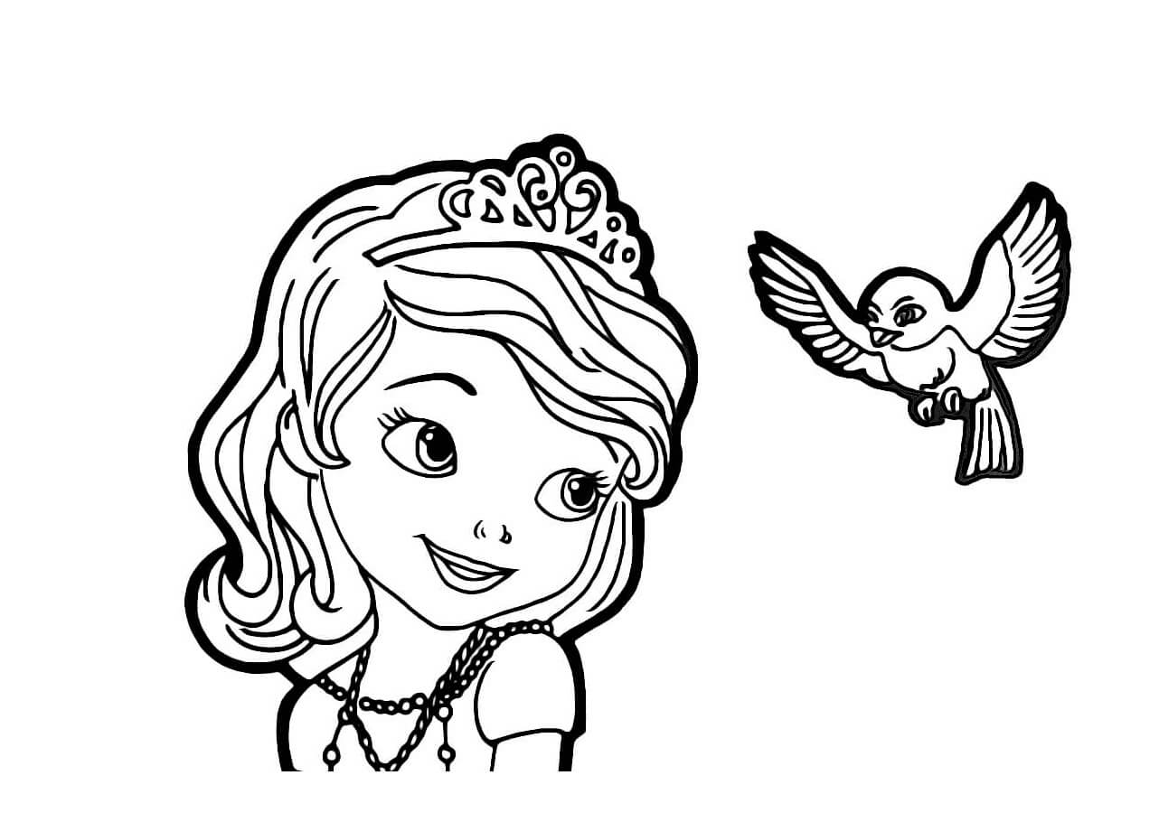Desenhos de Rosto de Sofia e Pássaro para colorir