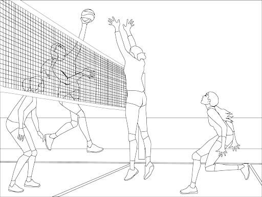 Desenhos de Voleibol Esporte para colorir
