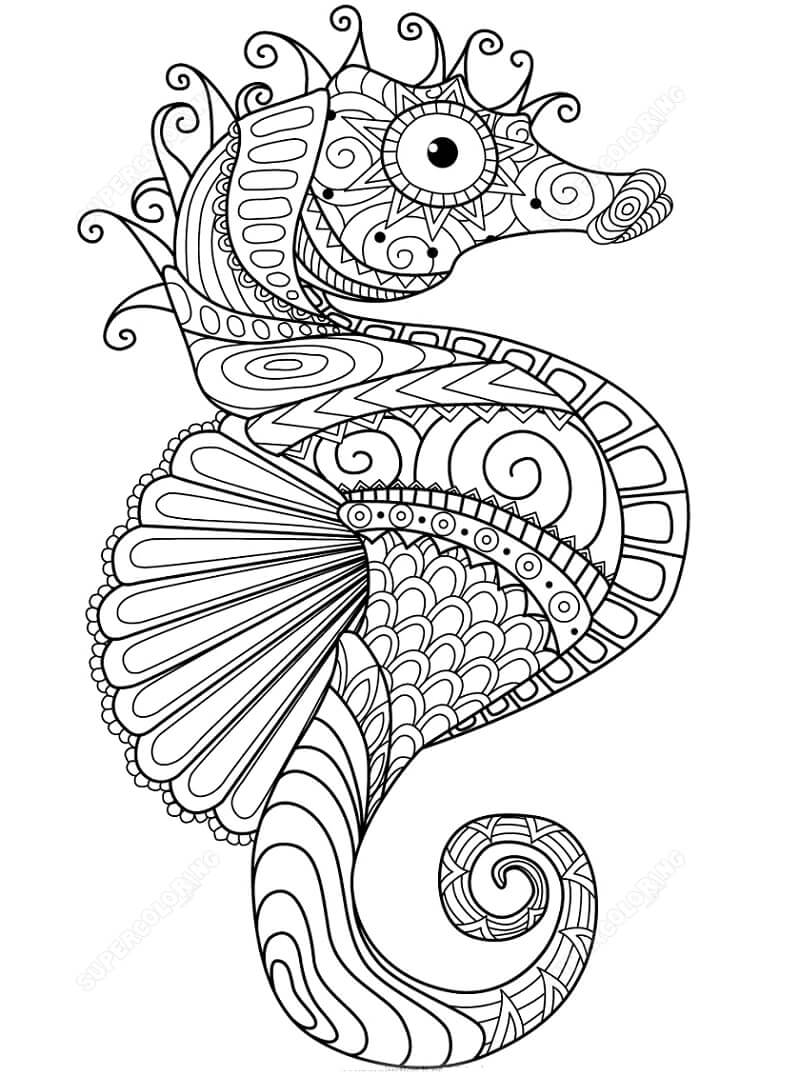 Desenhos de Zentangle Cavalo-marinho para colorir