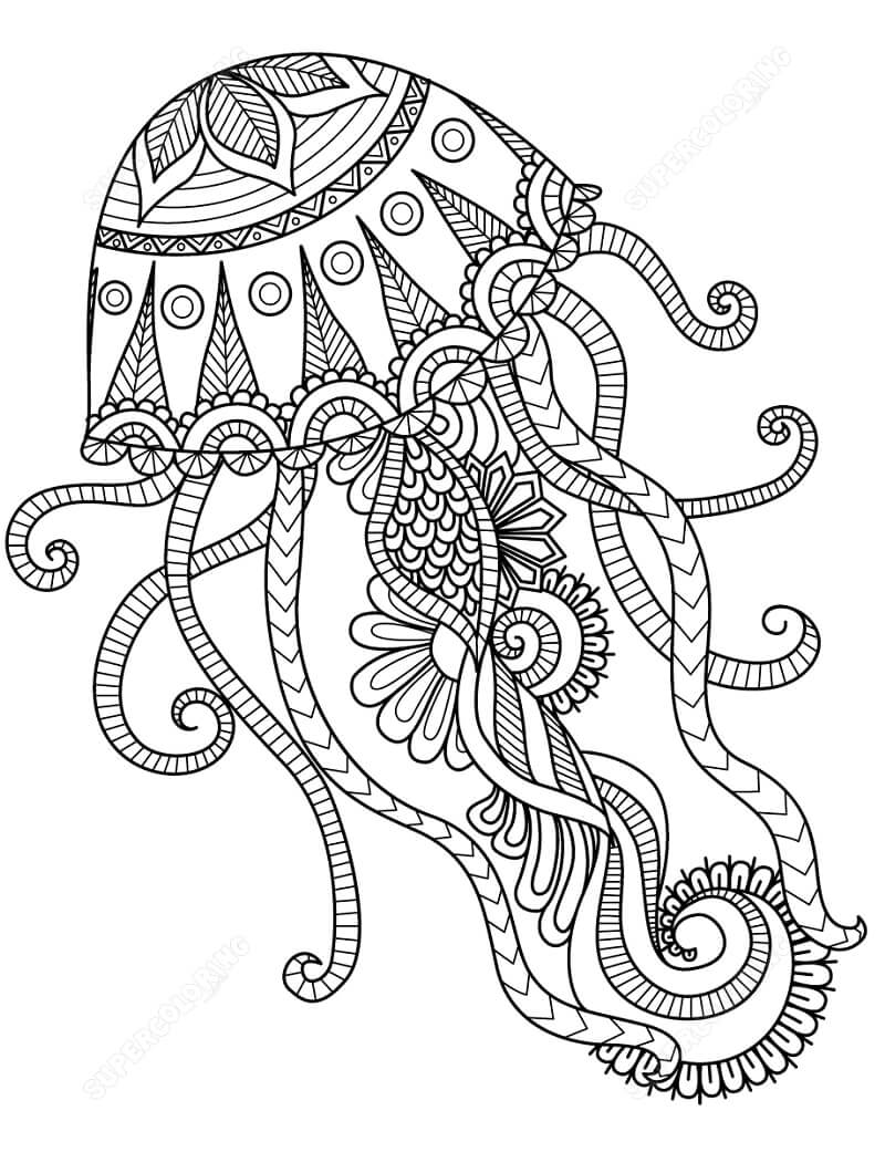 Desenhos de Zentangle Água-viva para colorir
