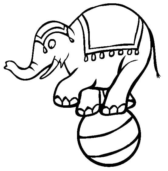 Desenhos de Elefante Circo na Bola para colorir