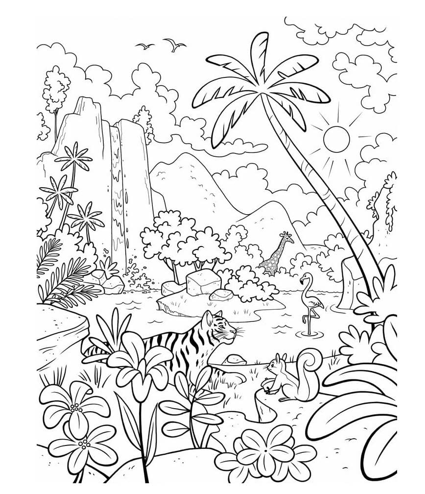 Selva de Verão Livre para colorir