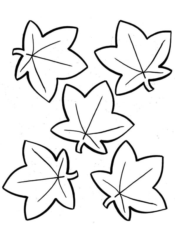 Desenhos de Cinco Folhas do Outono para colorir