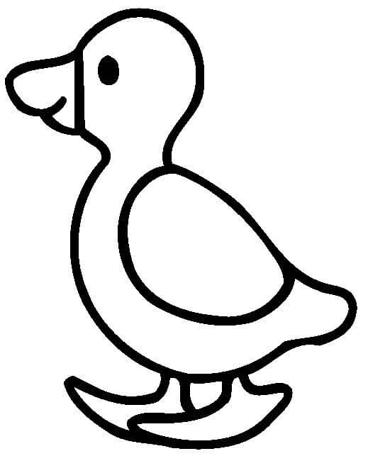 Desenhos de Pato Adorável para colorir