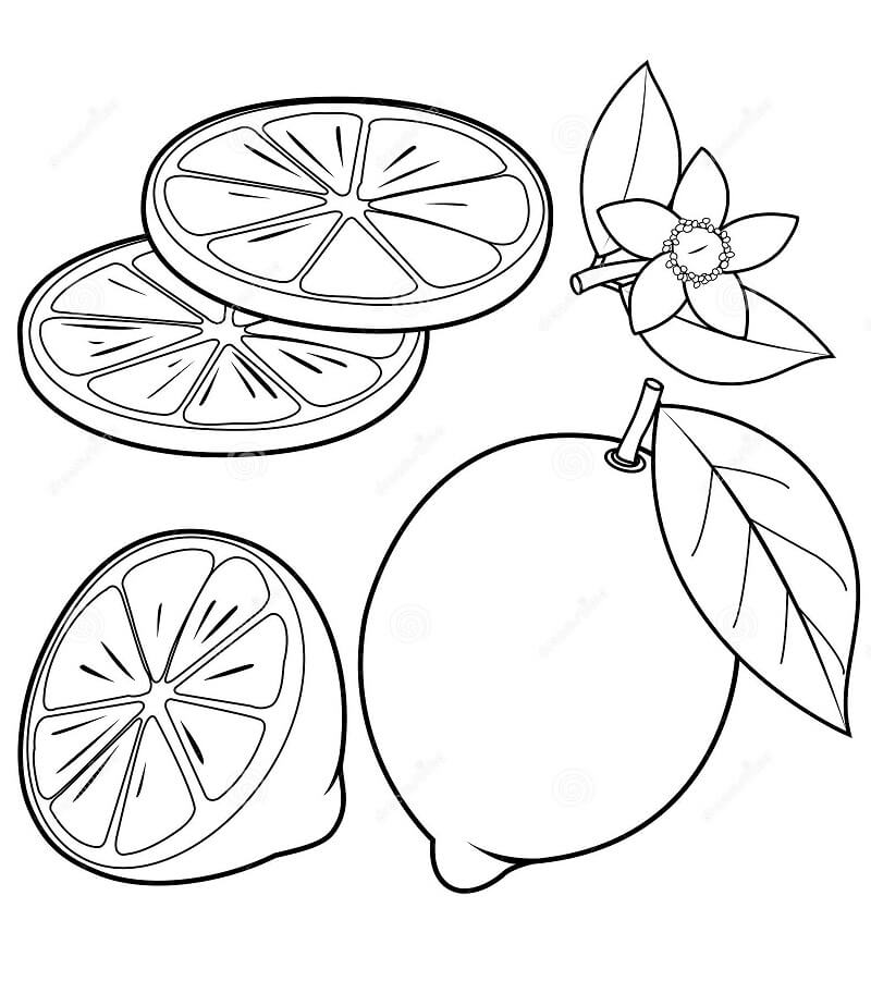 Fruta Limão 6 para colorir