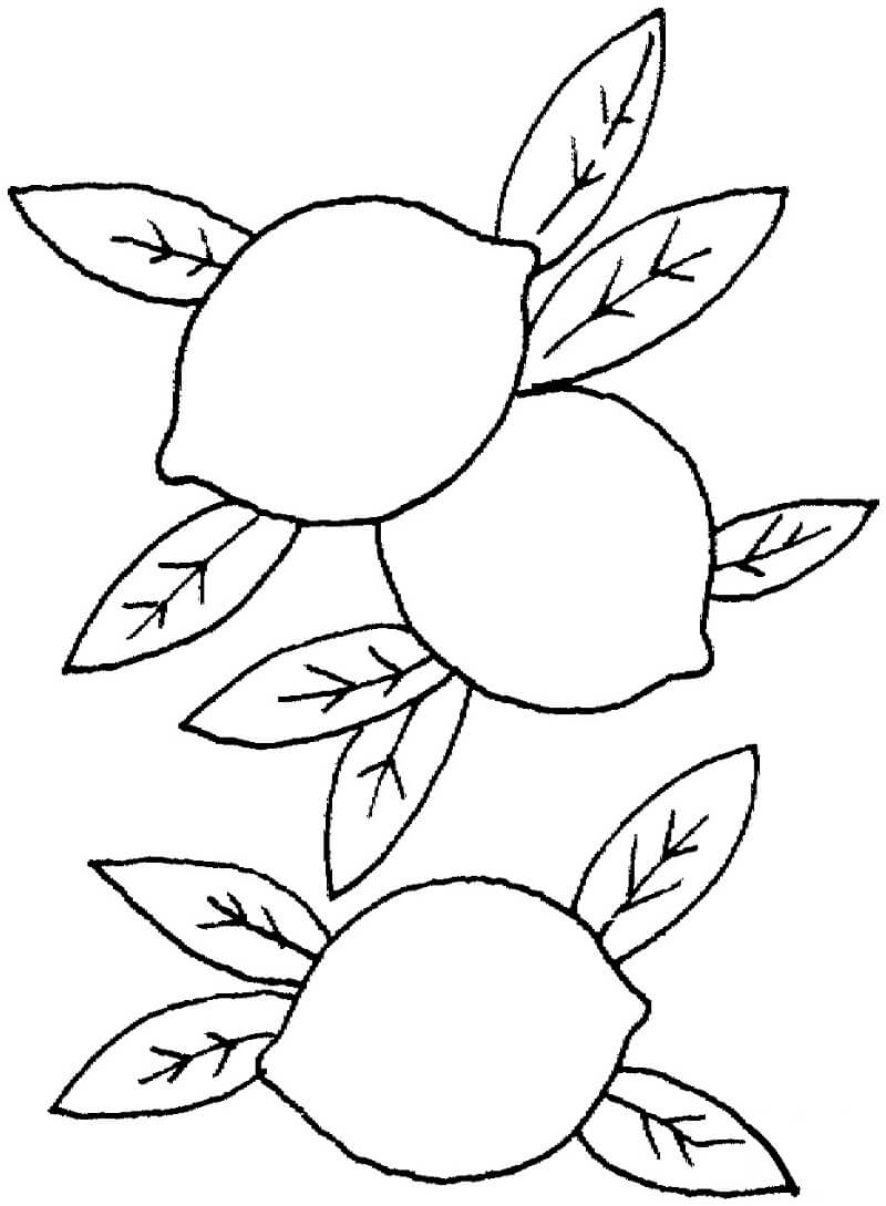 Desenhos de Limões 1 para colorir