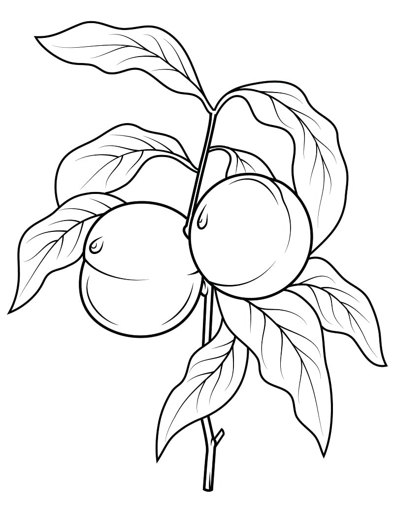 Desenhos de Pêssegos para colorir