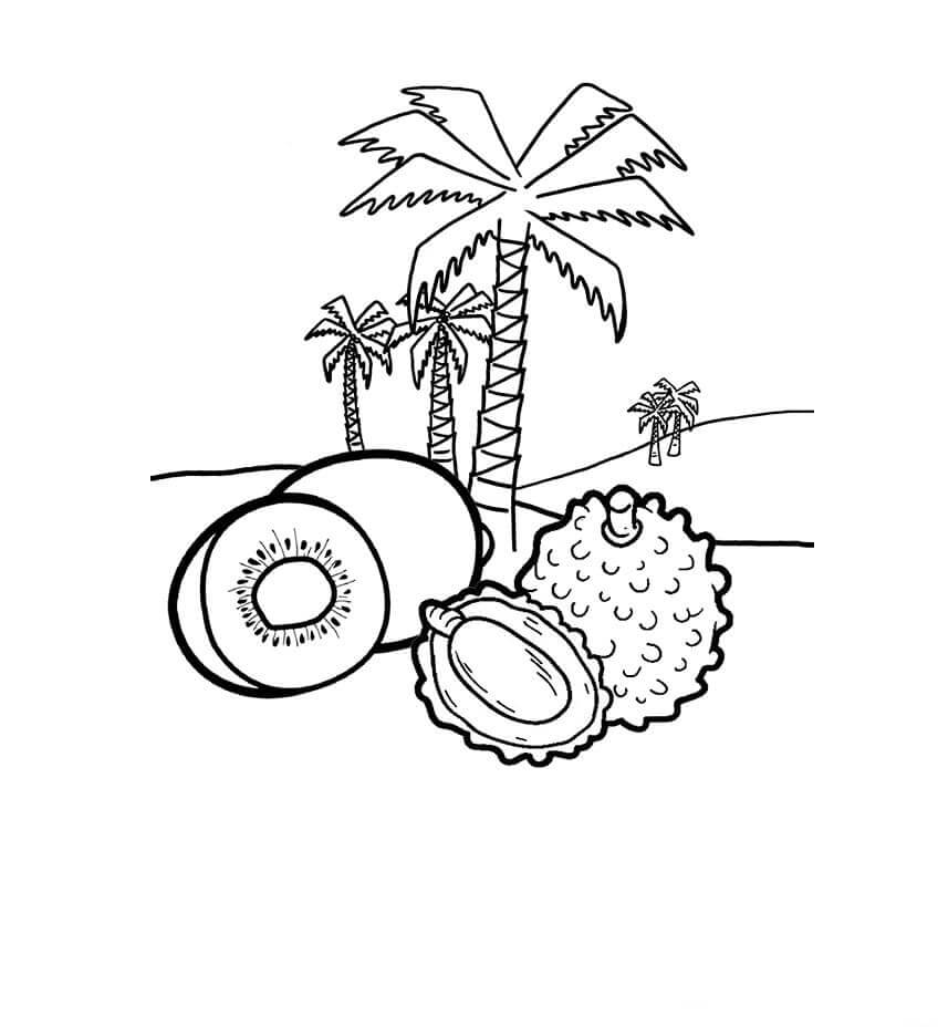 Desenhos de Kiwi Lychee para colorir