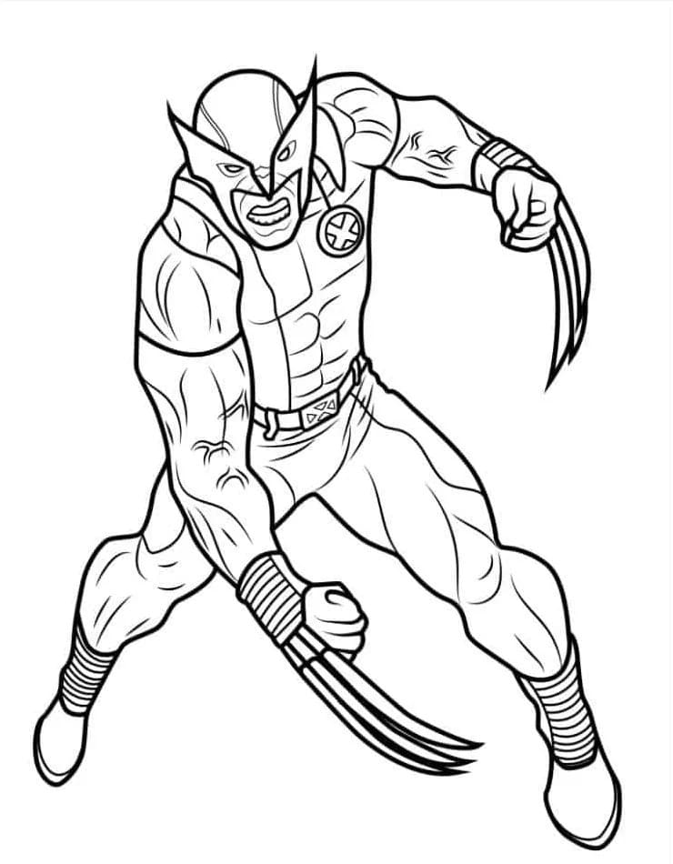 Desenhe Wolverine 5 para colorir