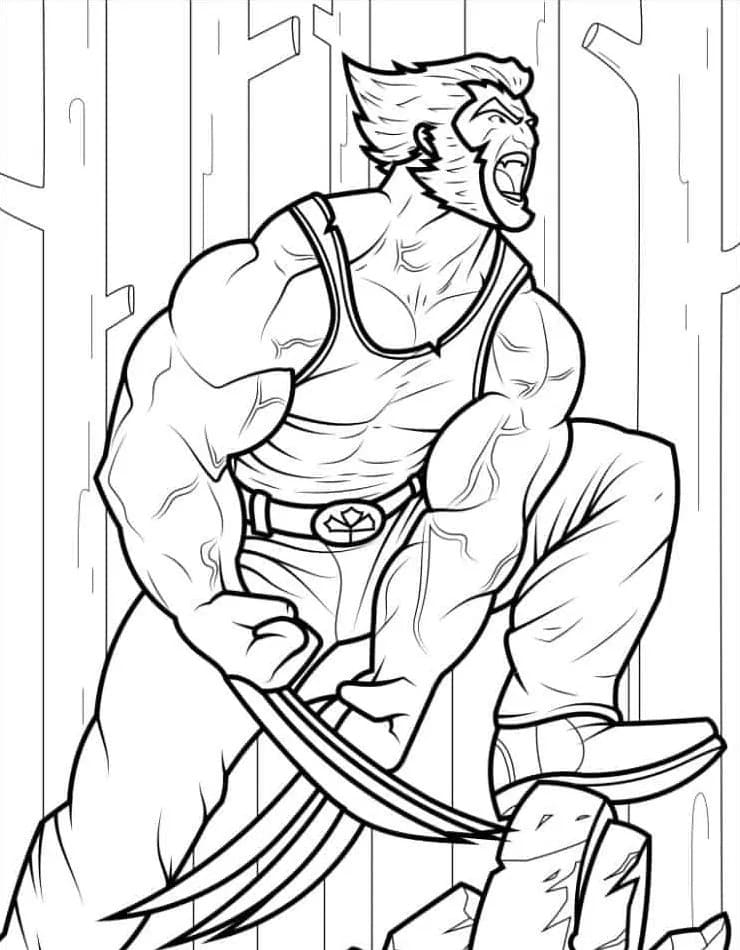 Desenhos de Desenhe Wolverine básico para colorir