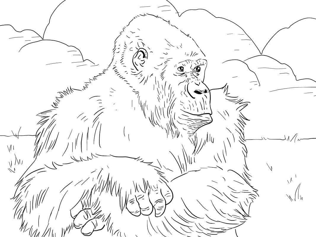 Desenhos de Macaco Selvagem 2 para colorir
