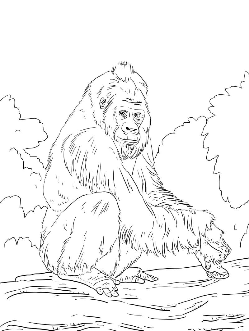 Desenhos de Macaco Selvagem 3 para colorir