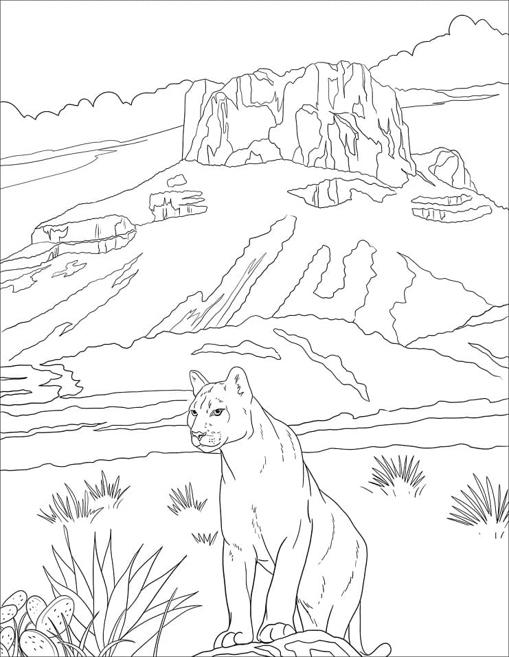 Puma Selvagem 1 para colorir