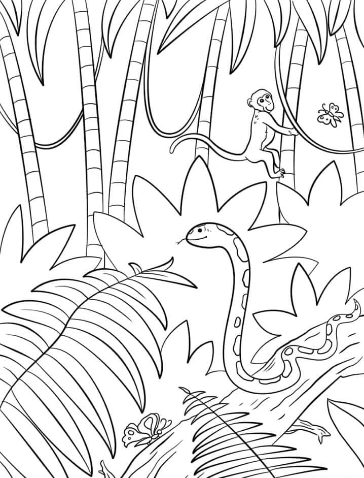 Desenhos de Quatro Animais da Floresta Amazônica para colorir