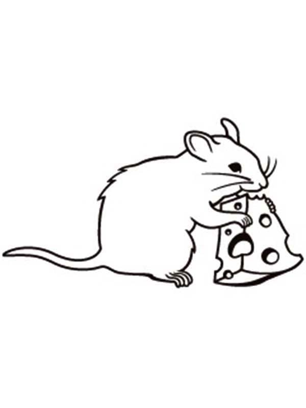 Rato e Queijo 6 para colorir