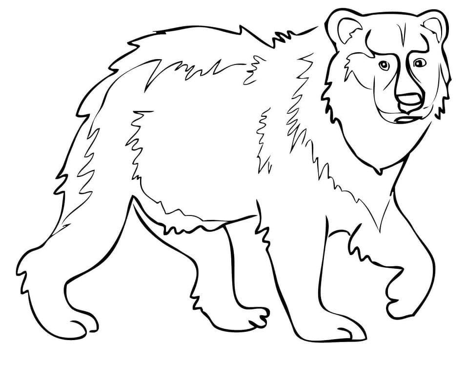 Urso Selvagem 1 para colorir