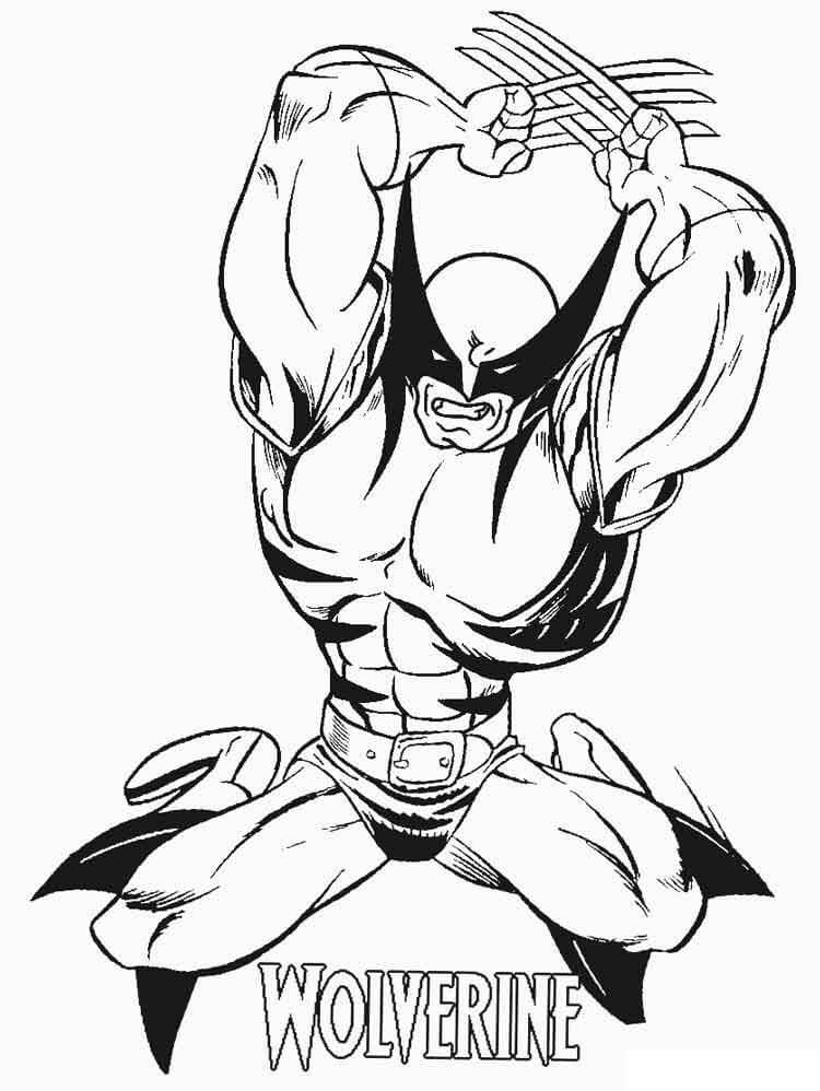 Desenhos de Wolverine Incrível para colorir