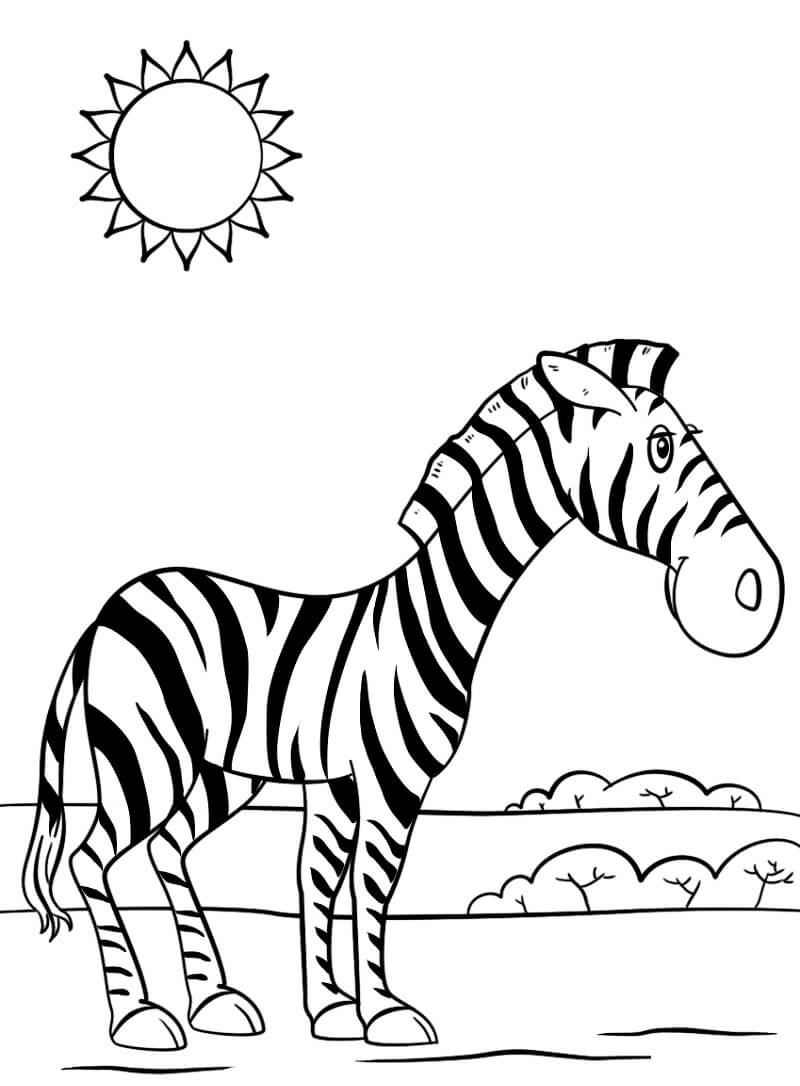 Desenhos de Zebra Fofa 1 para colorir
