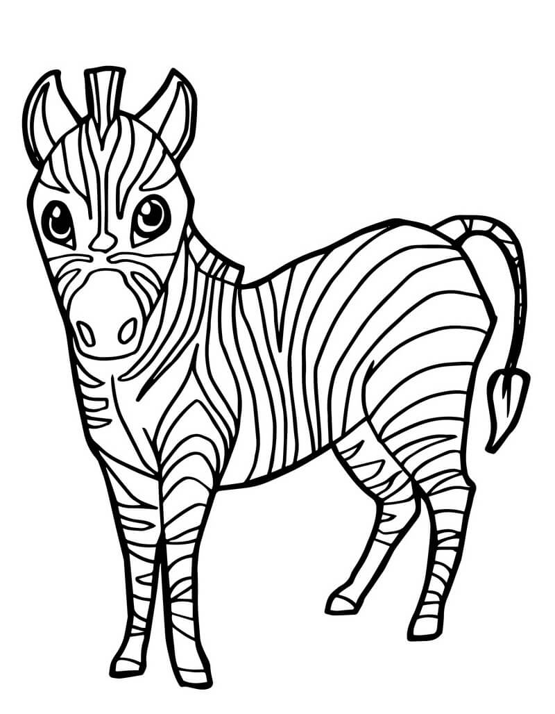 Desenhos de Zebra Fofa 5 para colorir