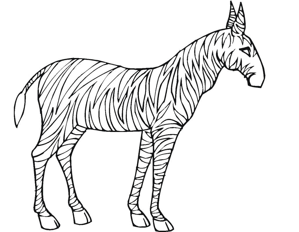 Zebra Normal 2 para colorir