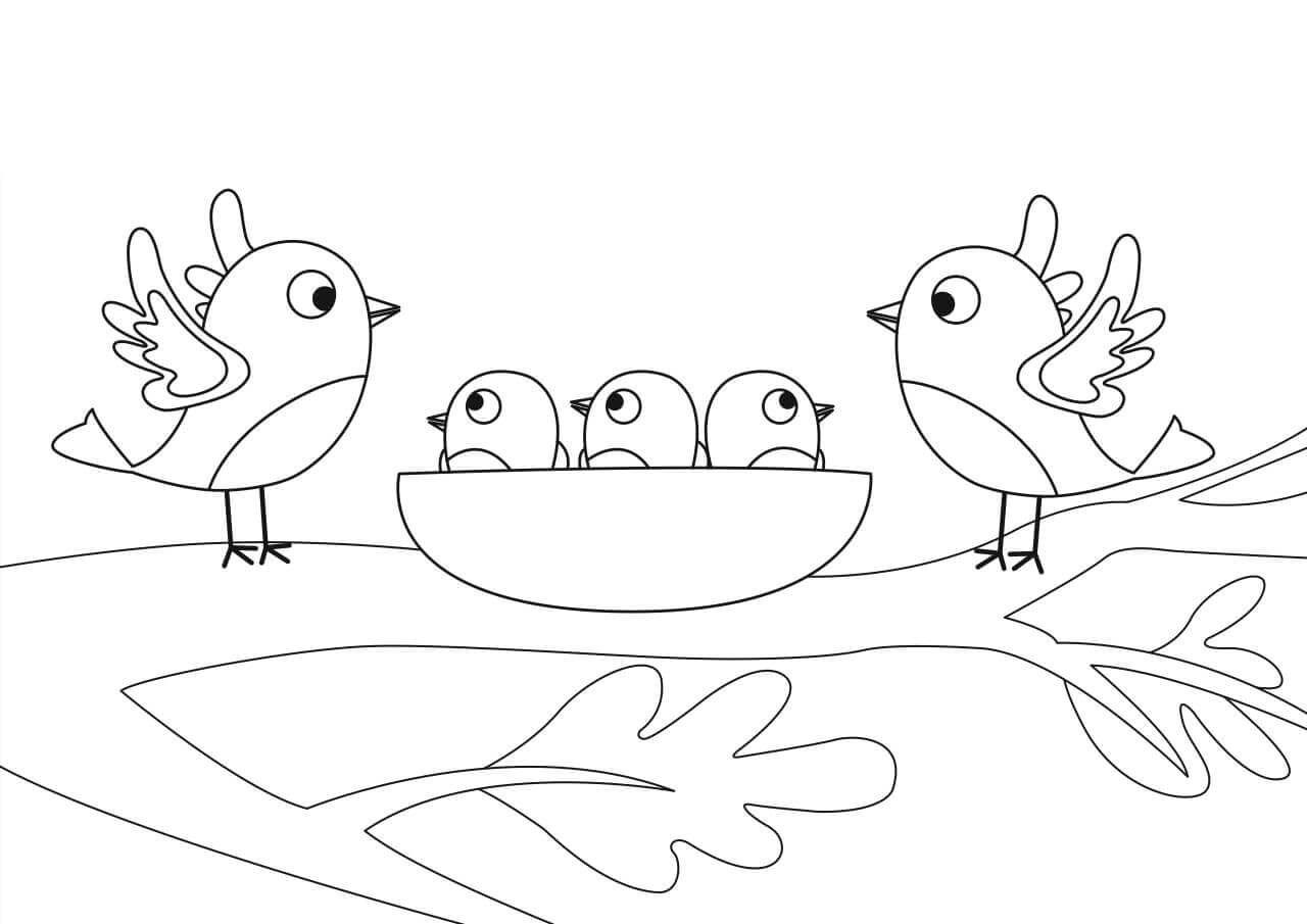 Família de Pássaros para colorir