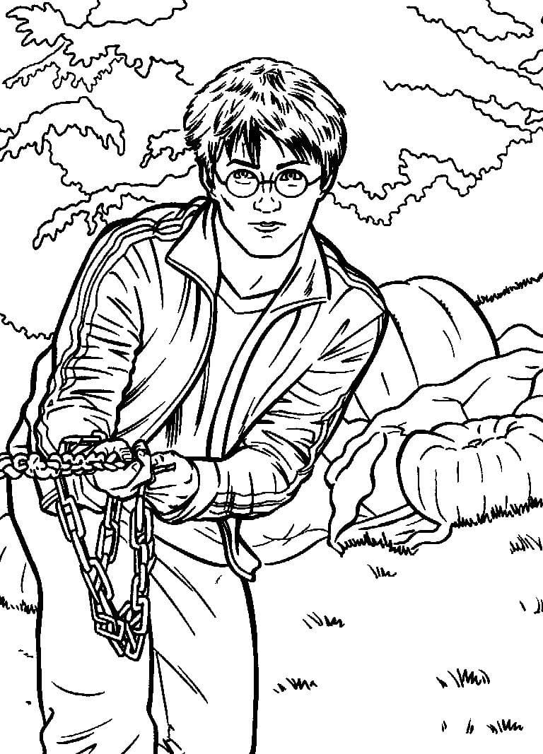 Harry Potter 17 para colorir