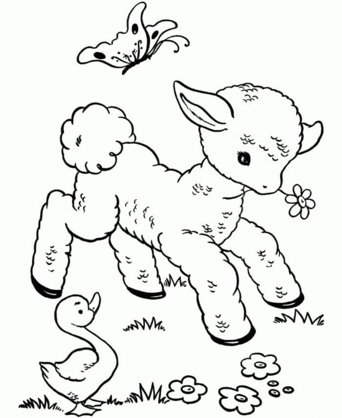 Desenhos de Ovelhinha para colorir