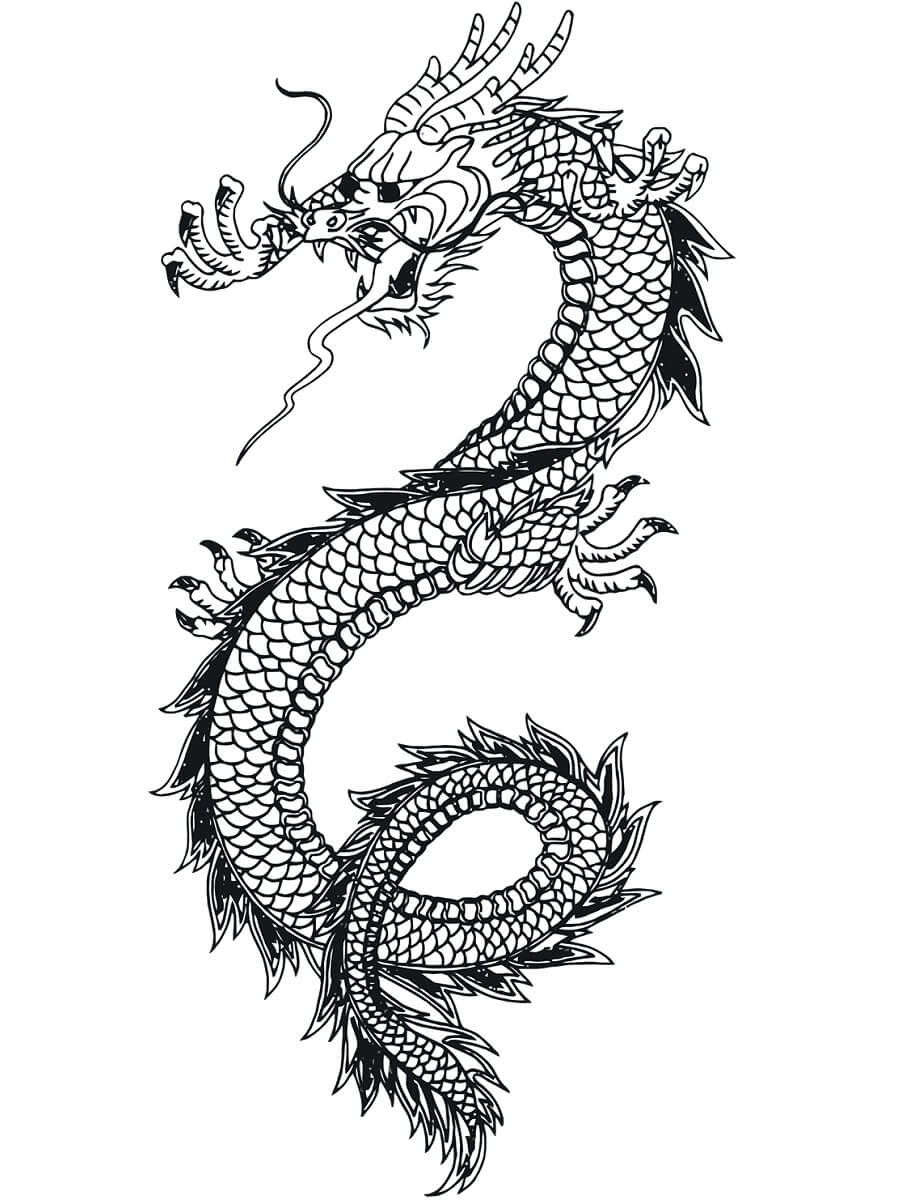 Desenhos de Mosca Dragão Chinês para colorir