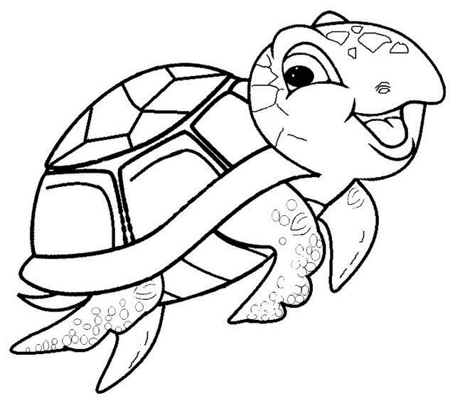 Bebê Tartaruga Diversão para colorir