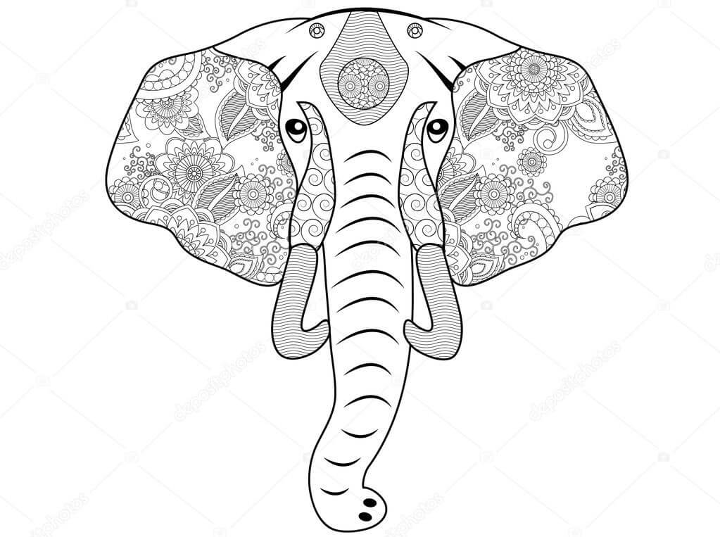 Desenhos de Cabeça de Elefante para colorir