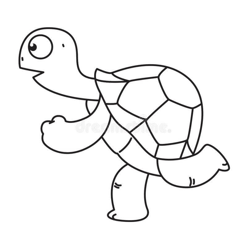 Desenhos de Corrida de Tartaruga para colorir