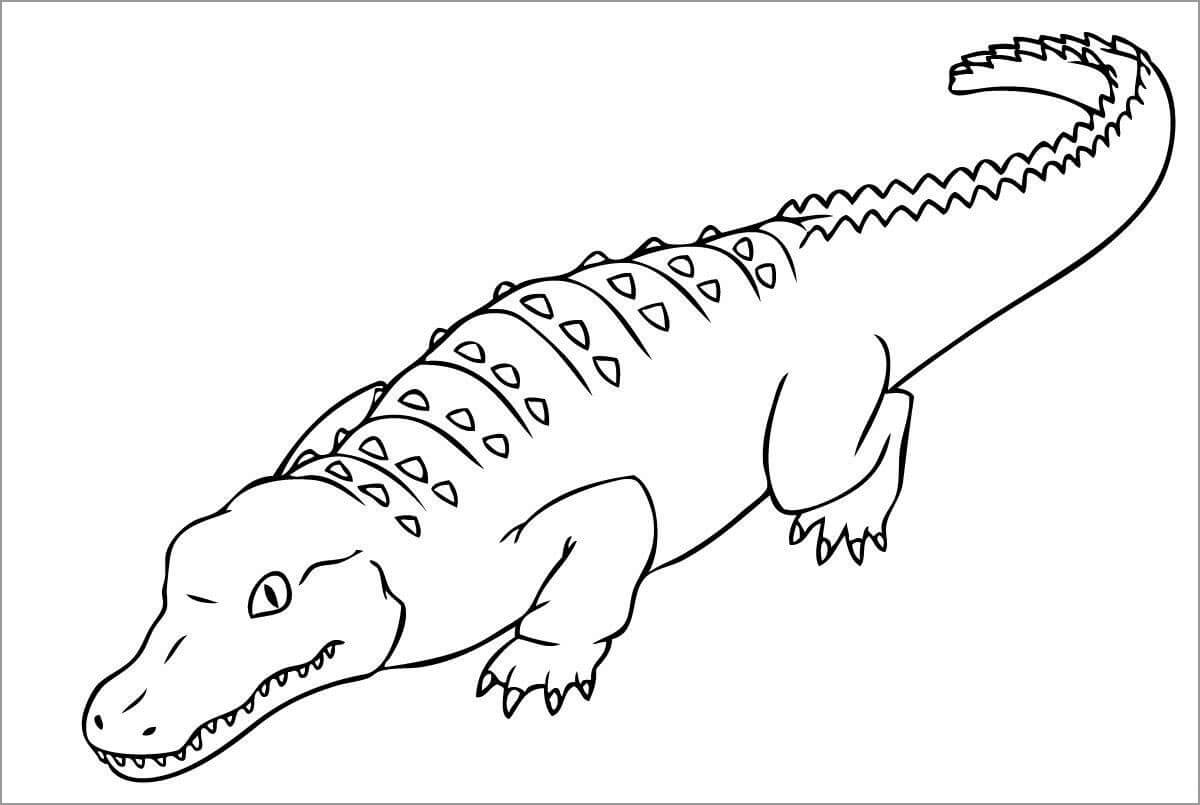 Desenhos de Crocodilo Incrível para colorir