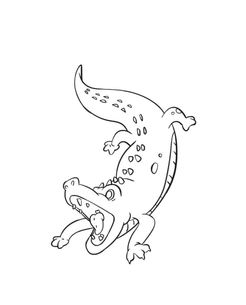 Desenhos de Crocodilo Livre para colorir