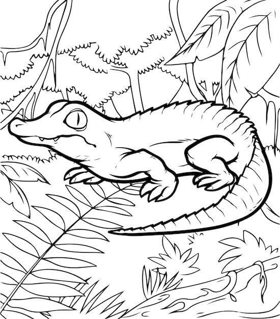 Desenhos de Crocodilo na Floresta para colorir