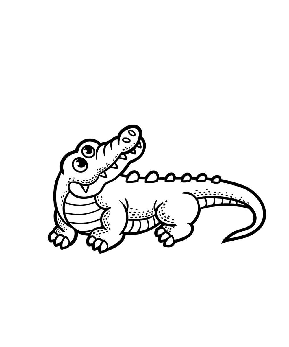 Desenhos de Crocodilo para Colorir