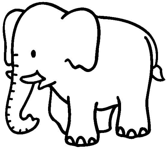 Desenhando Elefante para colorir