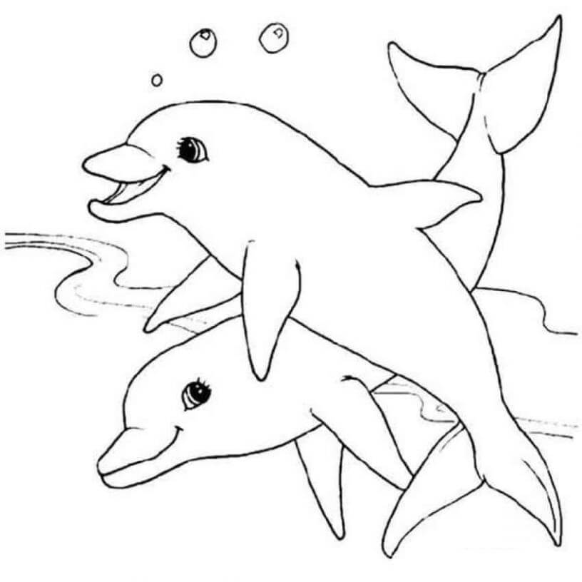 Dois Desenhos de Golfinhos para colorir