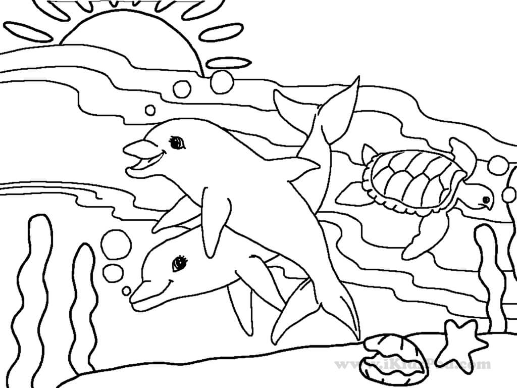 Dois Golfinhos E Tartarugas para colorir