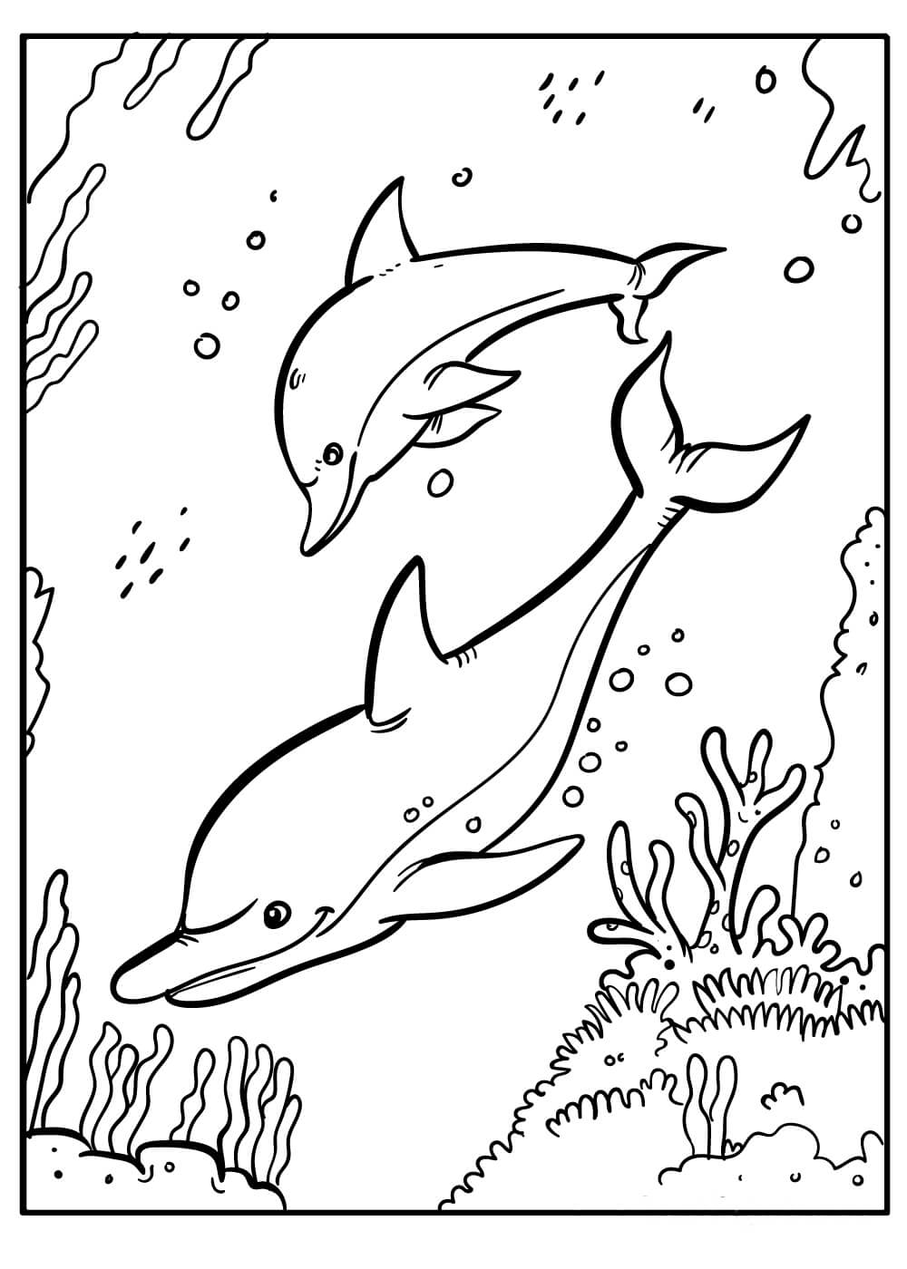 Desenhos de Dois Golfinhos Nadando para colorir