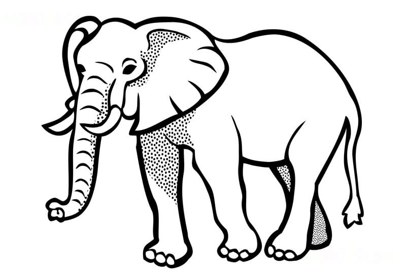 Desenhos de Elefante Básico para colorir