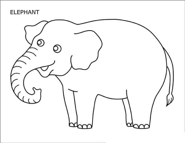 Desenhos de Elefante Divertido para colorir