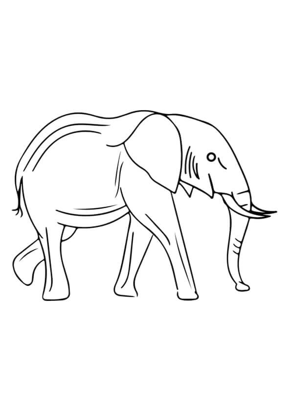 Elefante Fácil para colorir