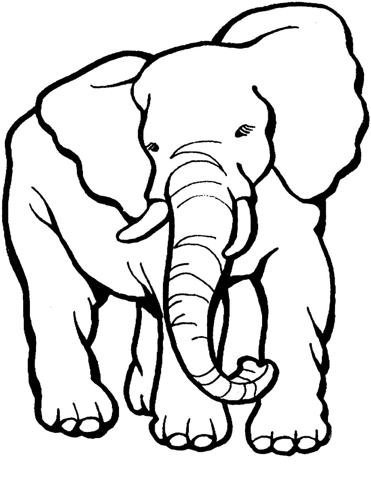 Elefante Impressionante para colorir