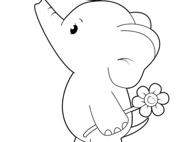 Elefante segurando Flor para colorir