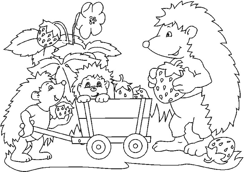 Família Ouriço para colorir