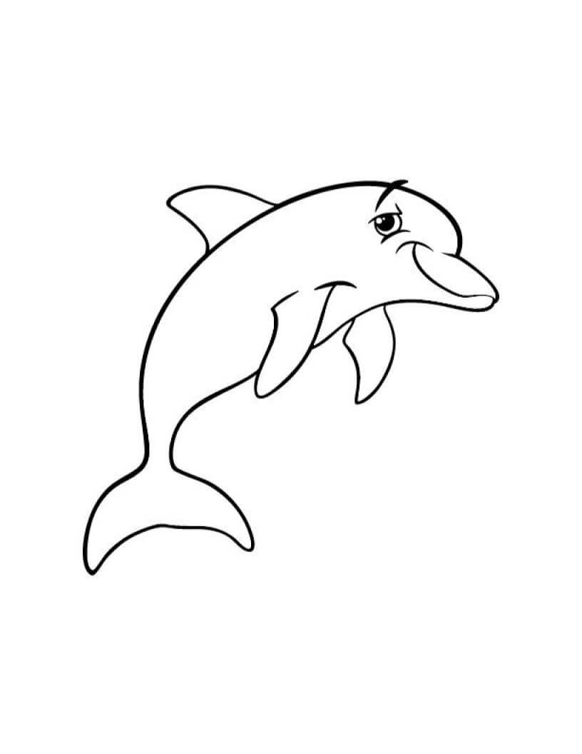 Desenhos de Golfinho Engraçado para colorir